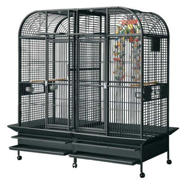 Castello 2 Large Parrot Cage with Divider | Exotic Parrots For Sale