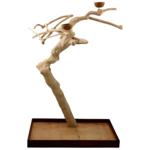 Java Duo Tree - Medium