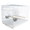 Liberta Large Folding Parrot