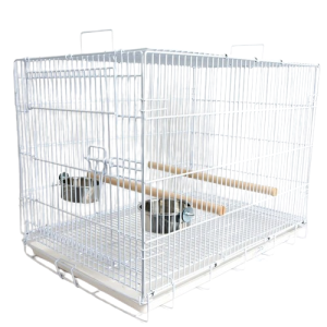 Liberta Large Folding Parrot