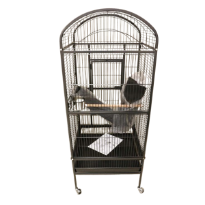 Prevue Dome Top Medium