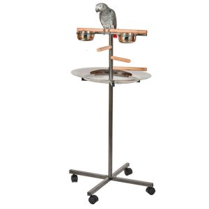 Rainforest Round Dish Parrot