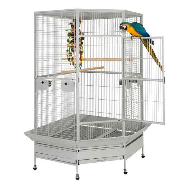 Raleigh Large Solid Top Corner Parrot Cage | Exotic Parrots For Sale