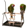 Tabletop Parrot Stand