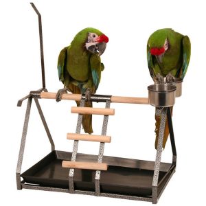 Tabletop Parrot Stand