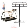 Tabletop & Pedestal Stand