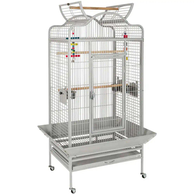 Voyager Open Top Parrot