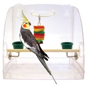 Window Perch & Parrot